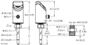 FS101-300L-63-2LI-H1141