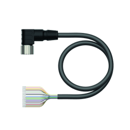 Thumbnail for CKWM19-19-5/TXL