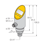 PS003V-304-2UPN8X-H1141