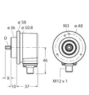 RI-10S10C-1B100-H1151